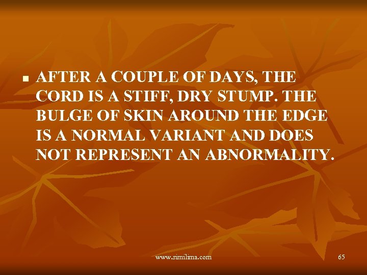 n AFTER A COUPLE OF DAYS, THE CORD IS A STIFF, DRY STUMP. THE