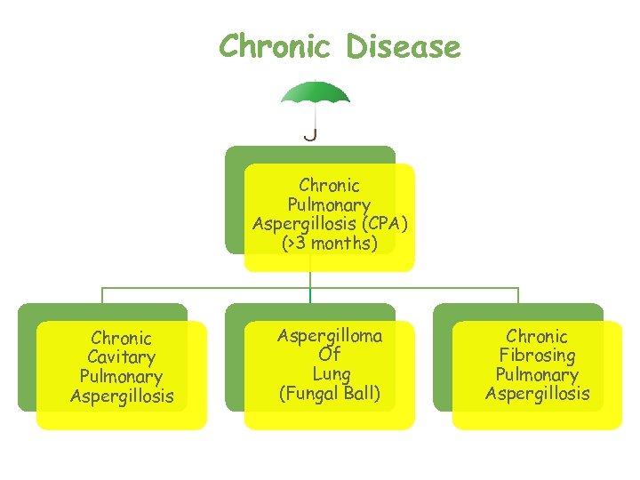 Chronic Disease Chronic Pulmonary Aspergillosis (CPA) (>3 months) Chronic Cavitary Pulmonary Aspergillosis Aspergilloma Of