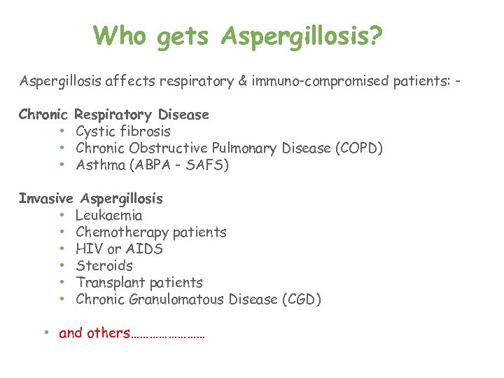 Who gets Aspergillosis? Aspergillosis affects respiratory & immuno-compromised patients: Chronic • • • Respiratory