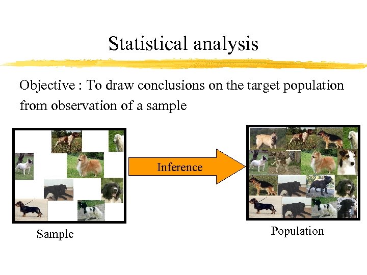 Statistical analysis Objective : To draw conclusions on the target population from observation of