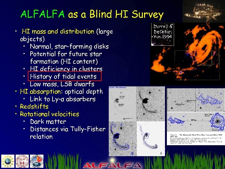 ALFALFA as a Blind HI Survey • HI mass and distribution (large objects) •