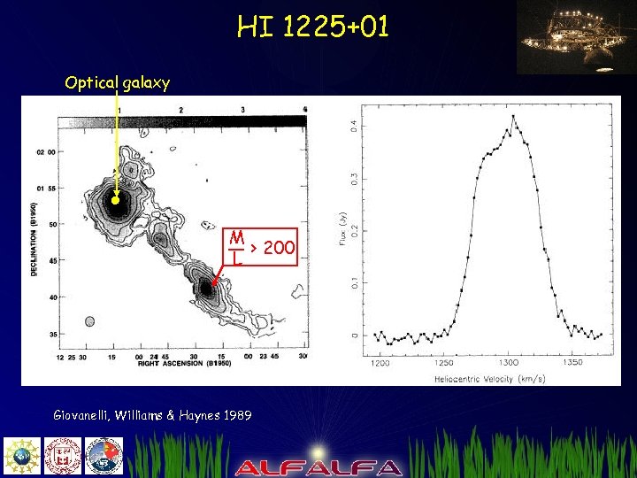 HI 1225+01 Optical galaxy M > 200 L Giovanelli, Williams & Haynes 1989 