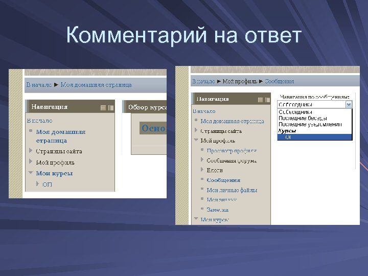 Комментарий на ответ 