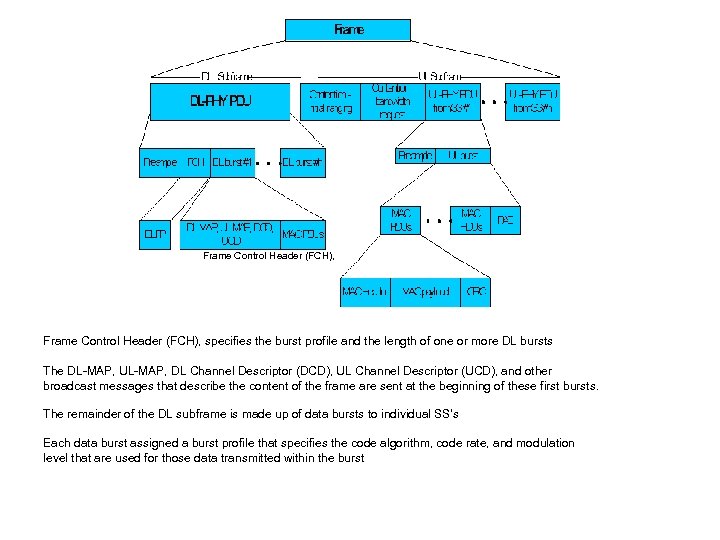 Frame Control Header (FCH), specifies the burst profile and the length of one or