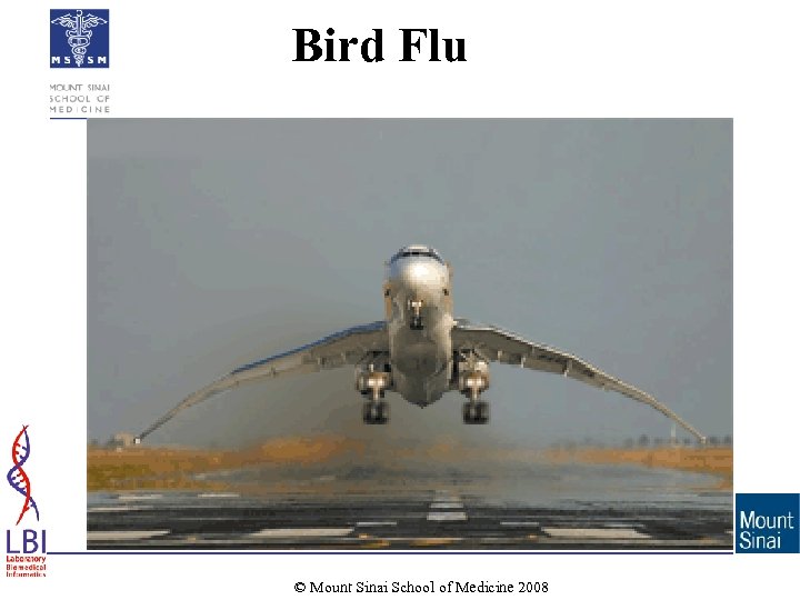 Bird Flu © Mount Sinai School of Medicine 2008 