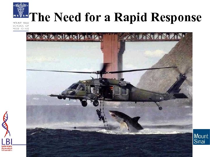 The Need for a Rapid Response © Mount Sinai School of Medicine 2008 