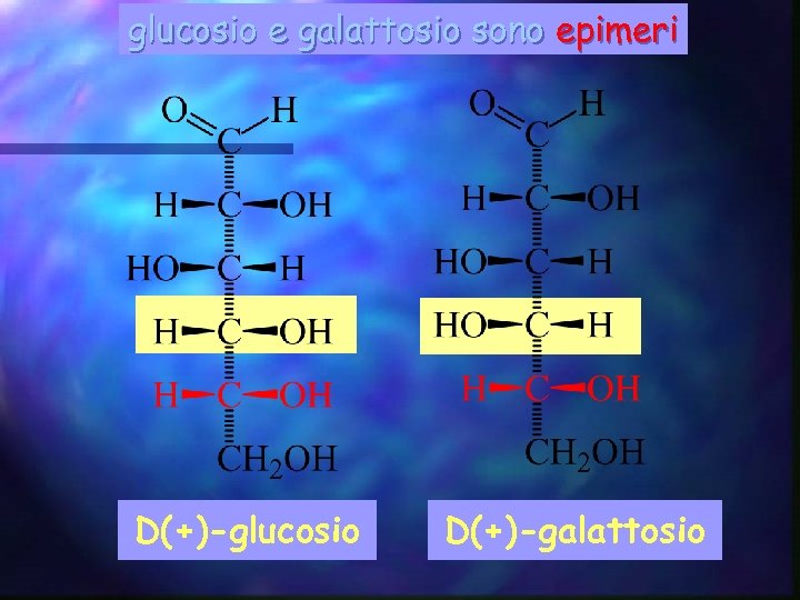 glucosio e galattosio sono epimeri D(+)-glucosio D(+)-galattosio 