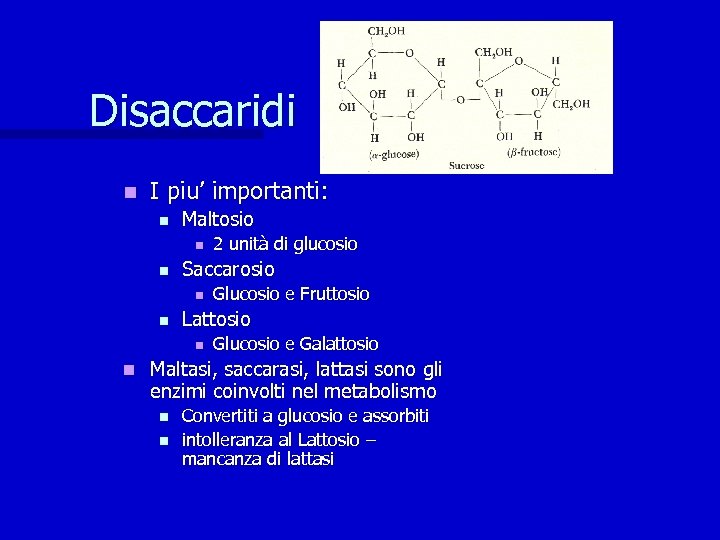 Disaccaridi n I piu’ importanti: n Maltosio n n Saccarosio n n Glucosio e