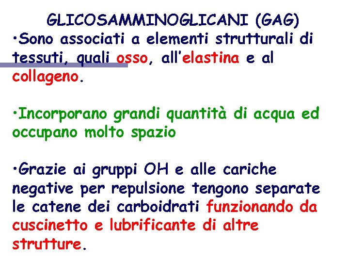 GLICOSAMMINOGLICANI (GAG) • Sono associati a elementi strutturali di tessuti, quali osso, all’elastina e