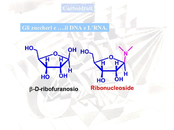 Carboidrati Gli zuccheri e …. il DNA e L’RNA. 