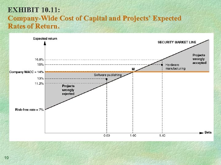 EXHIBIT 10. 11: Company-Wide Cost of Capital and Projects’ Expected Rates of Return. 19