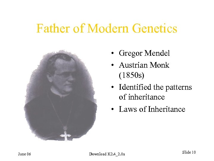 Father of Modern Genetics • Gregor Mendel • Austrian Monk (1850 s) • Identified