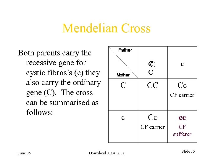 Mendelian Cross Both parents carry the recessive gene for cystic fibrosis (c) they also
