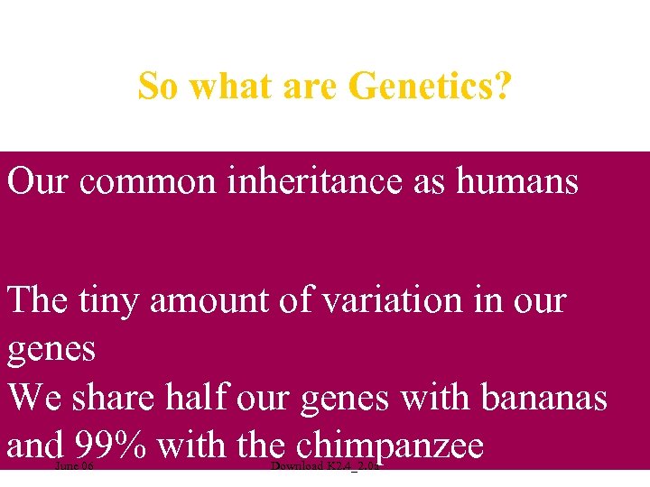 So what are Genetics? • Look at the person next to you and identify