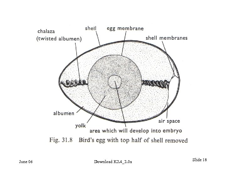 June 06 Download K 2. 4_2. 0 a Slide 18 