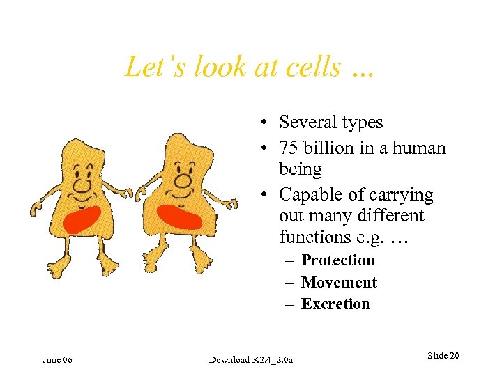 Let’s look at cells … • Several types • 75 billion in a human