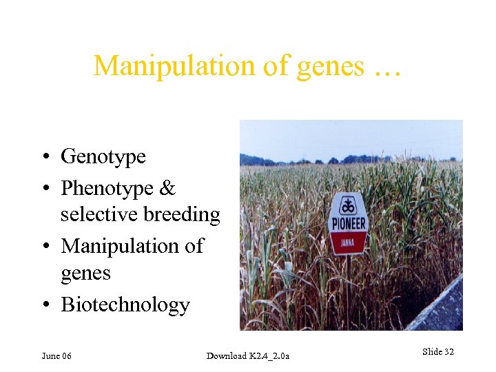 Manipulation of genes … • Genotype • Phenotype & selective breeding • Manipulation of