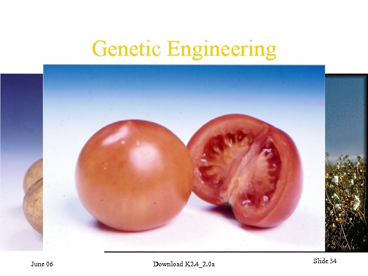 Genetic Engineering June 06 Download K 2. 4_2. 0 a Slide 34 