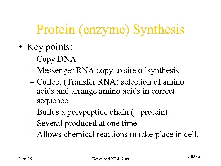 Protein (enzyme) Synthesis • Key points: – Copy DNA – Messenger RNA copy to
