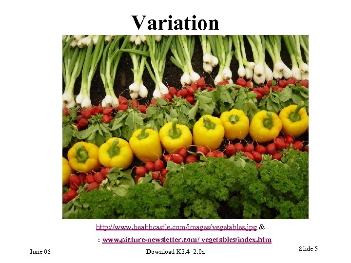 Variation http: //www. healthcastle. com/images/vegetables. jpg & : www. picture-newsletter. com/ vegetables/index. htm June