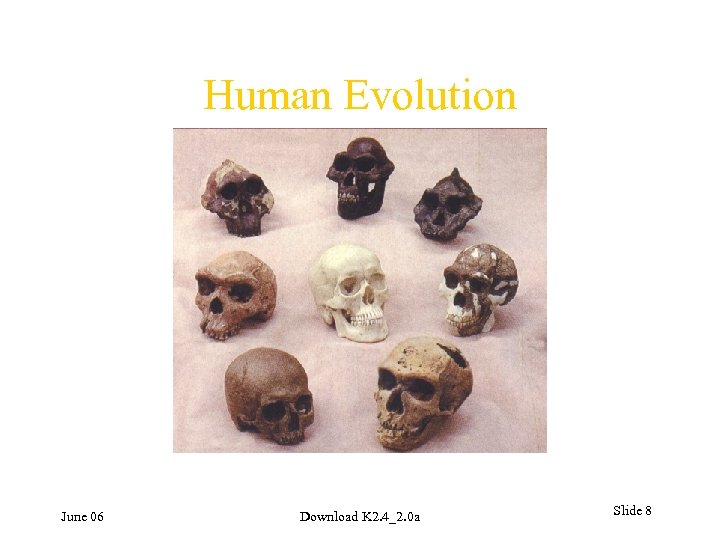 Human Evolution June 06 Download K 2. 4_2. 0 a Slide 8 