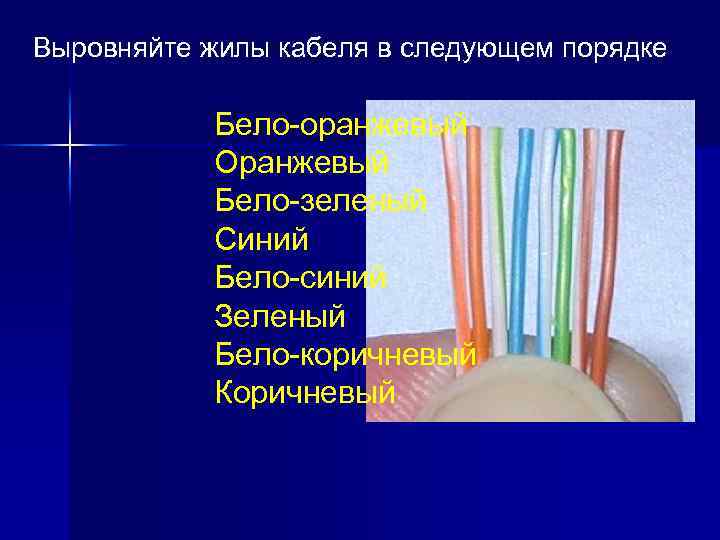 Выровняйте жилы кабеля в следующем порядке Бело-оранжевый Оранжевый Бело-зеленый Синий Бело-синий Зеленый Бело-коричневый Коричневый