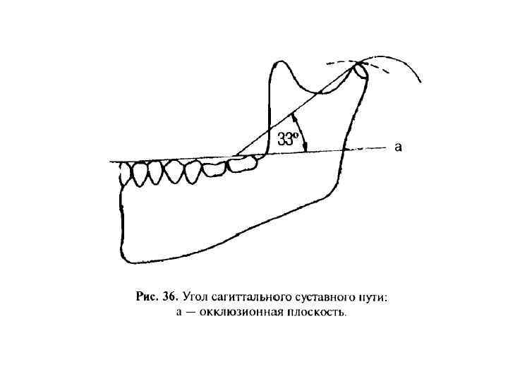 Биомеханика нижней челюсти