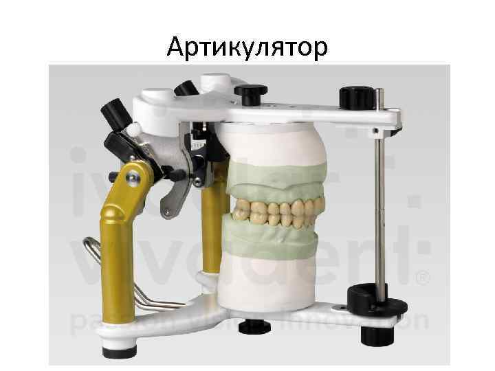 Артикулятор 