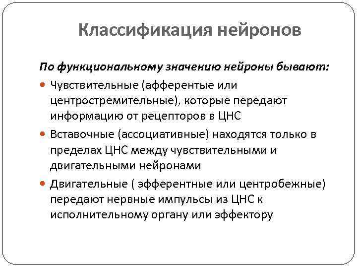 Классификация нейронов По функциональному значению нейроны бывают: Чувствительные (афферентые или центростремительные), которые передают информацию