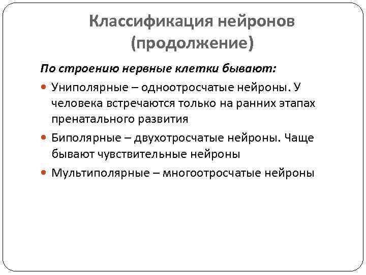 Классификация нейронов (продолжение) По строению нервные клетки бывают: Униполярные – одноотросчатые нейроны. У человека