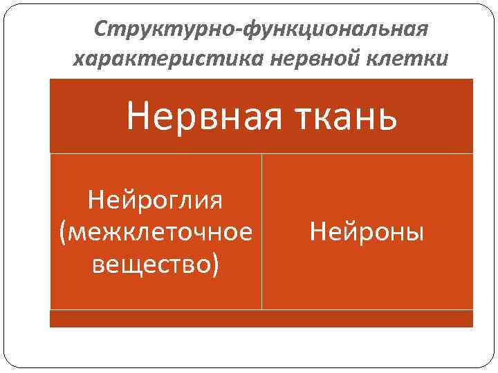 Структурно-функциональная характеристика нервной клетки Нервная ткань Нейроглия (межклеточное вещество) Нейроны 