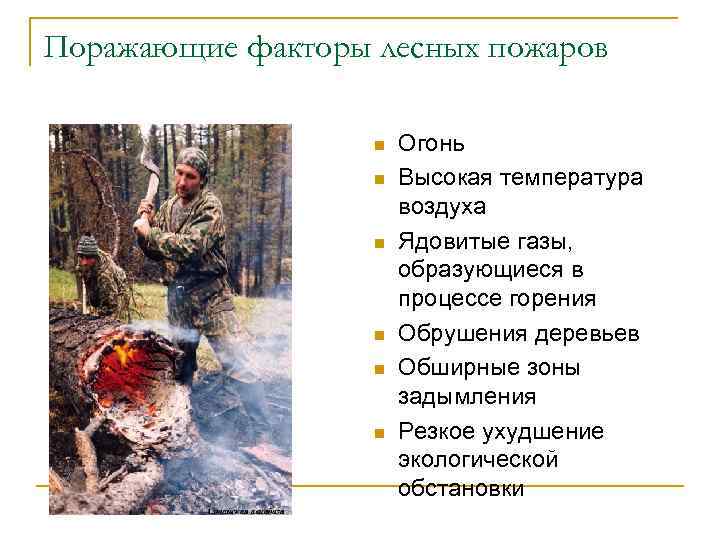 Поражающие факторы лесных пожаров n n n Огонь Высокая температура воздуха Ядовитые газы, образующиеся