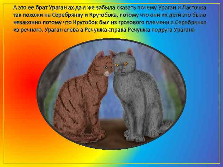 А это ее брат Ураган ах да я же забыла сказать почему Ураган и