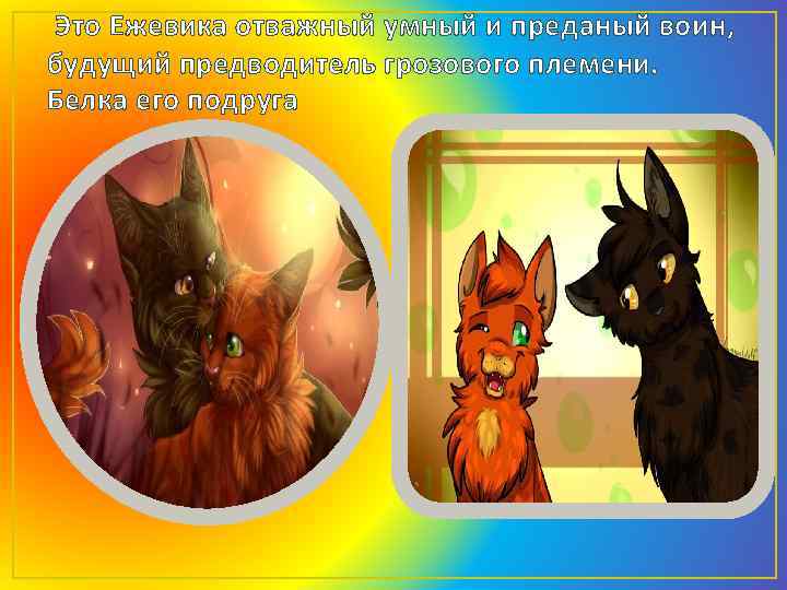 Это Ежевика отважный умный и преданый воин, будущий предводитель грозового племени. Белка его подруга