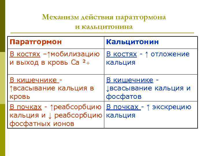 Механизм паратгормона