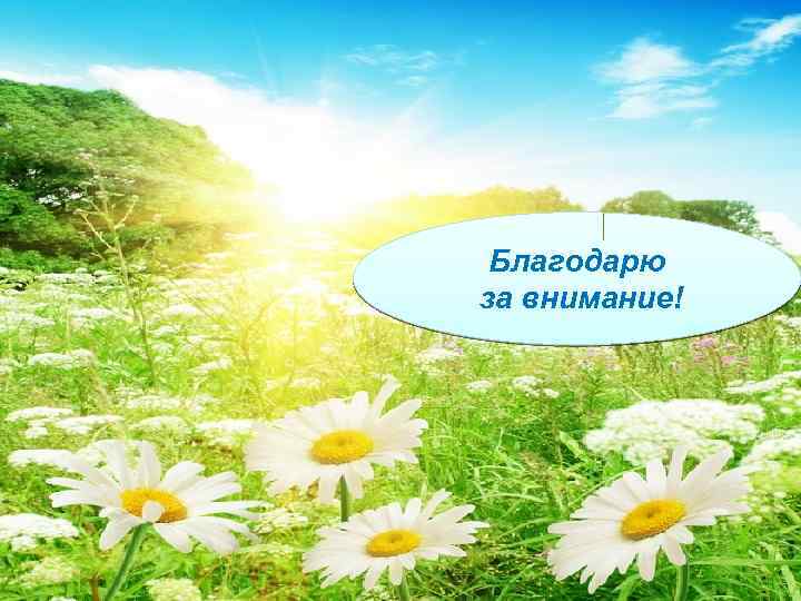 Благодарю за внимание! 