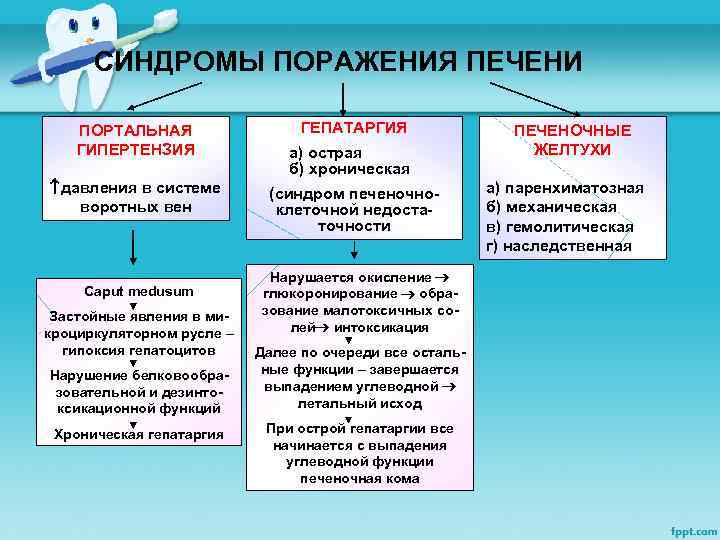 СИНДРОМЫ ПОРАЖЕНИЯ ПЕЧЕНИ ПОРТАЛЬНАЯ ГИПЕРТЕНЗИЯ давления в системе воротных вен Caput medusum Застойные явления