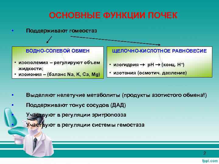 ОСНОВНЫЕ ФУНКЦИИ ПОЧЕК • Поддерживают гомеостаз ВОДНО-СОЛЕВОЙ ОБМЕН • изоволемия – регулируют объем жидкости;