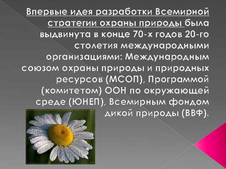 Всемирная стратегия охраны природных видов презентация