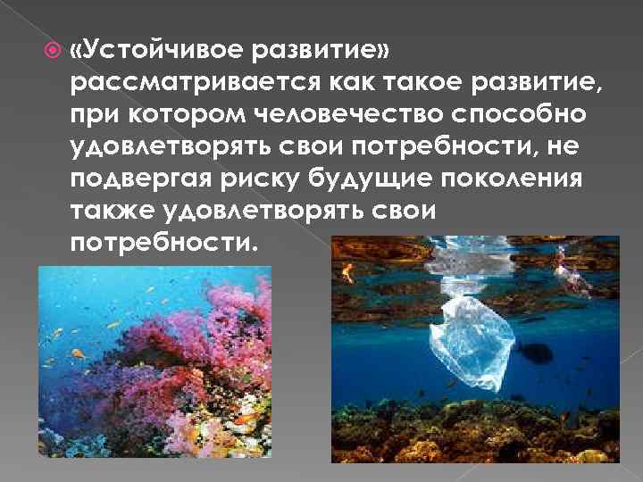  «Устойчивое развитие» рассматривается как такое развитие, при котором человечество способно удовлетворять свои потребности,