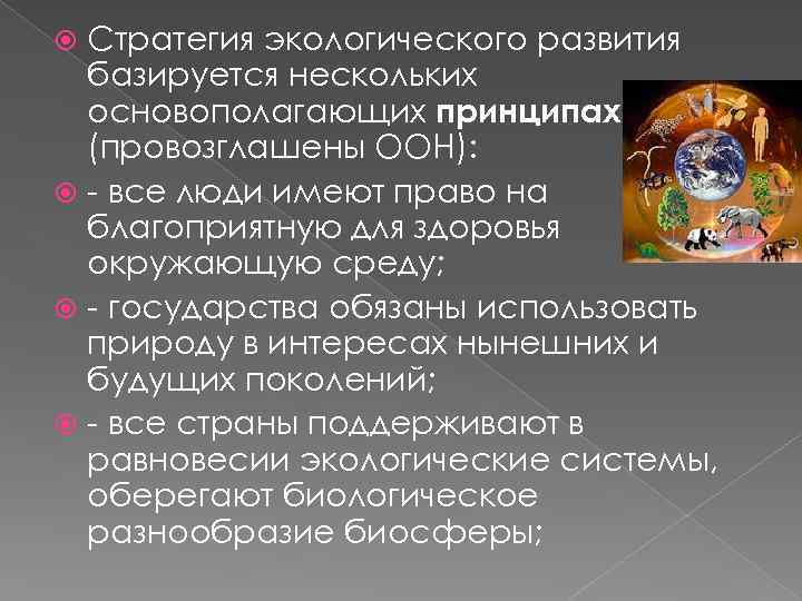 Стратегия экологического развития базируется нескольких основополагающих принципах ( (провозглашены ООН): - все люди имеют