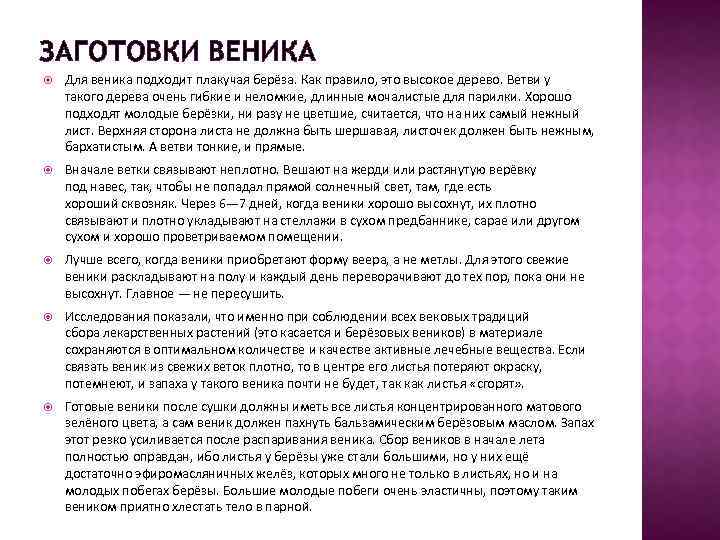 ЗАГОТОВКИ ВЕНИКА Для веника подходит плакучая берёза. Как правило, это высокое дерево. Ветви у