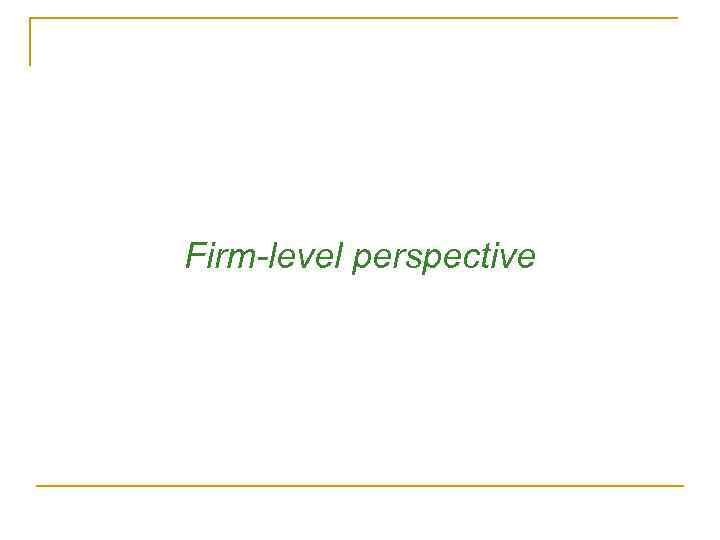 Firm-level perspective 