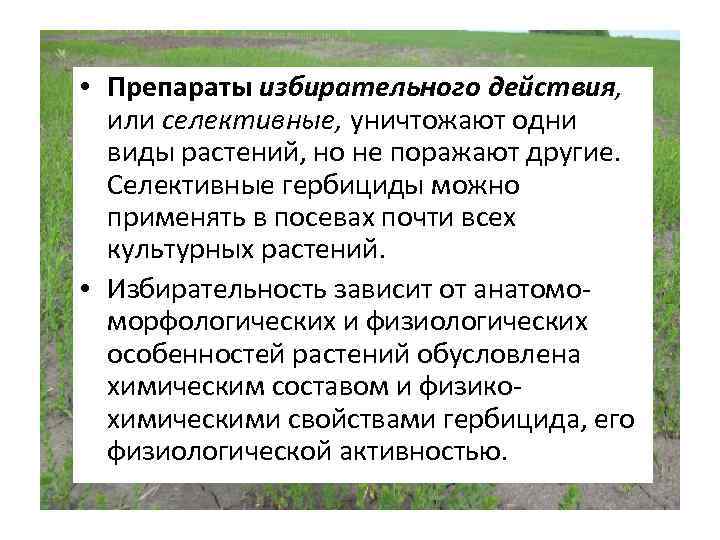  • Препараты избирательного действия, или селективные, уничтожают одни виды растений, но не поражают