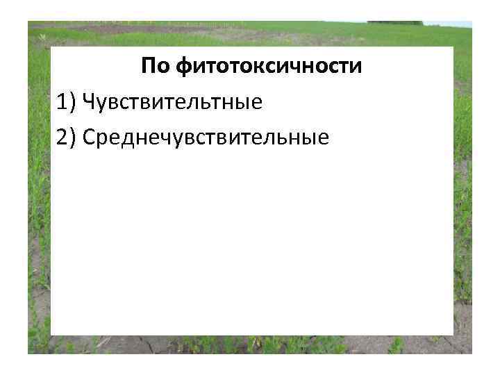 По фитотоксичности 1) Чувствительтные 2) Среднечувствительные 