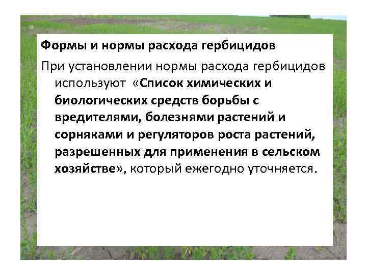 Формы и нормы расхода гербицидов При установлении нормы расхода гербицидов используют «Список химических и