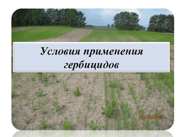 Условия применения гербицидов 