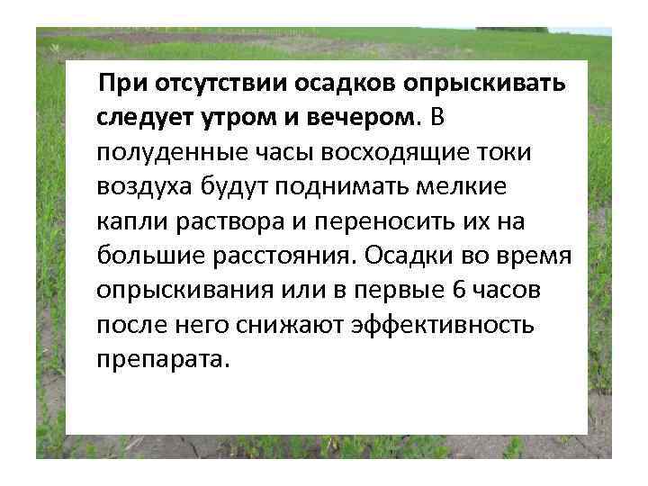 При отсутствии осадков опрыскивать следует утром и вечером. В полуденные часы восходящие токи воздуха