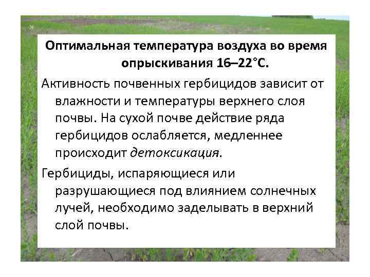 Оптимальная температура воздуха во время опрыскивания 16– 22°С. Активность почвенных гербицидов зависит от влажности