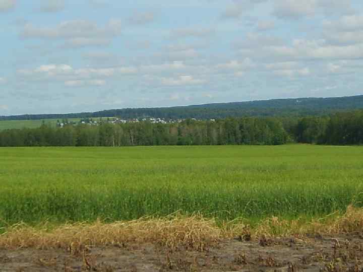 Спасибо за внимание 
